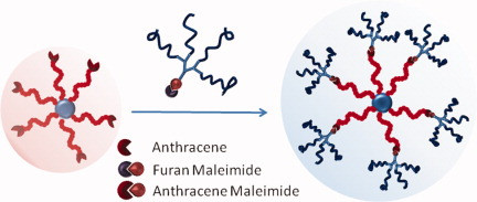 Multiarm star polymers with peripheral dendritic PMMA arms through Diels–Alder click reaction