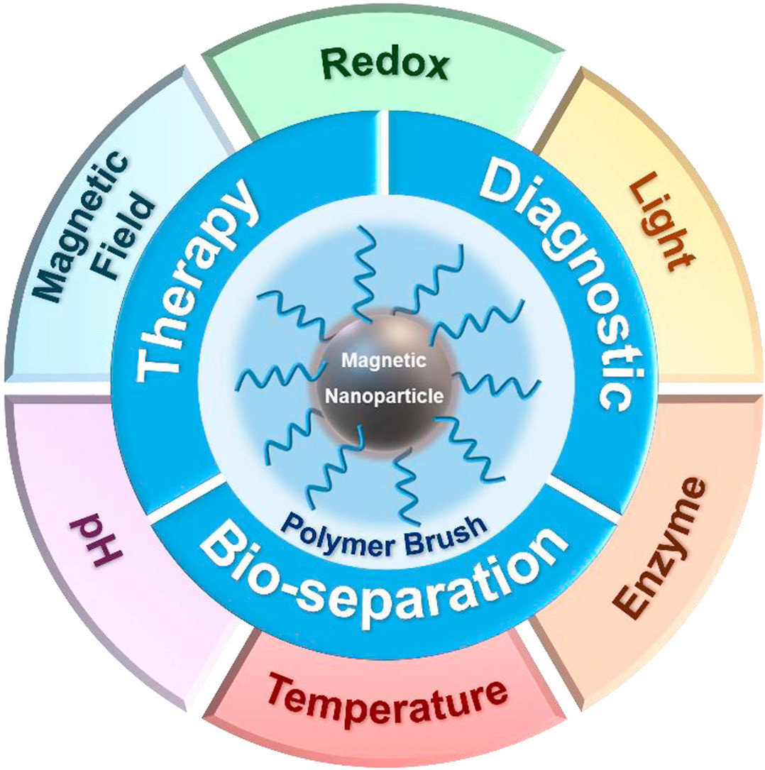 Polymer brush-coated magnetic nanoparticles as stimuli-responsive platforms for biomedical applications