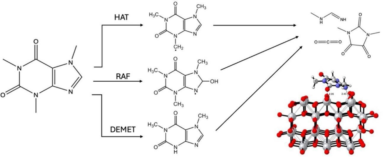 A mechanistic rationalization of the degradation of caffeine in homogeneous and heterogeneous media