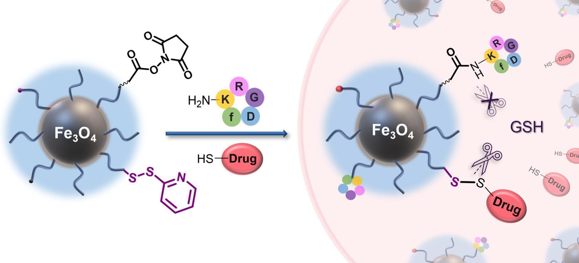 Polymer brush coated magnetic nanoparticles: dual-functionalization using reversible and non-reversible conjugations for targeted drug delivery
