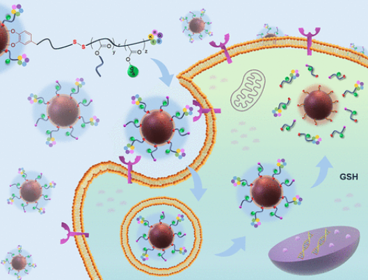 Redox-Responsive Cleavable Polymeric Brush Coated Magnetic Nanoparticles: Fabrication and Post-Polymerization Modification for Cellular Targeting