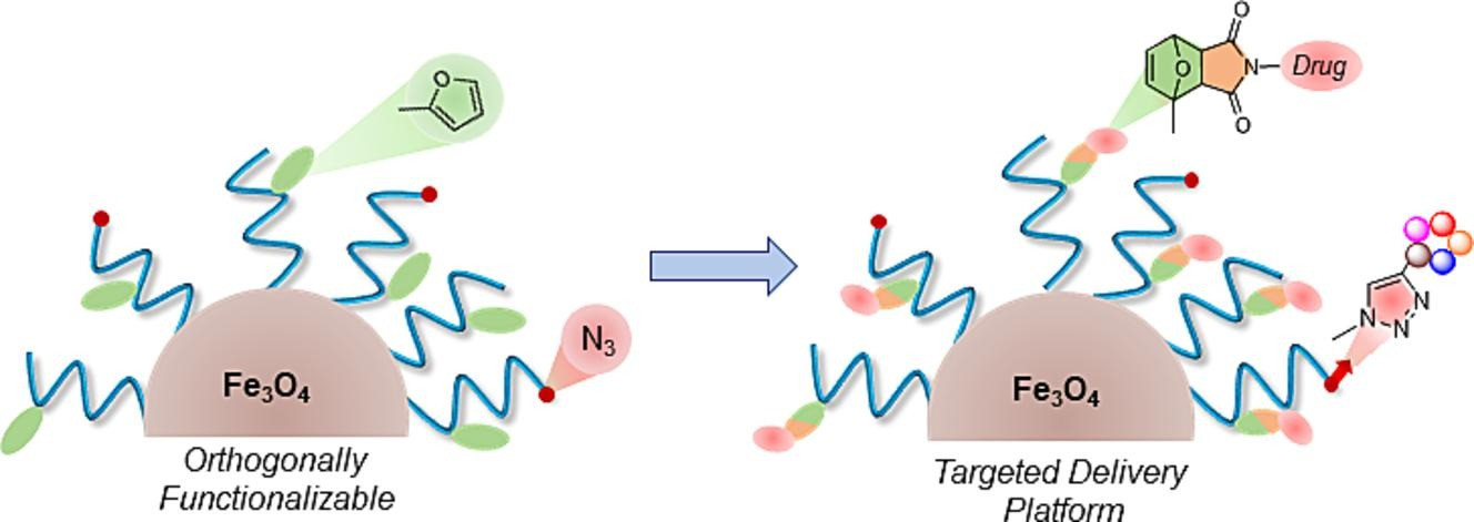 ‘Clickable' polymer brush coated magnetic nanoparticles: Employing Diels-Alder and azide-alkyne cycloaddition for modular targeted drug delivery platforms
