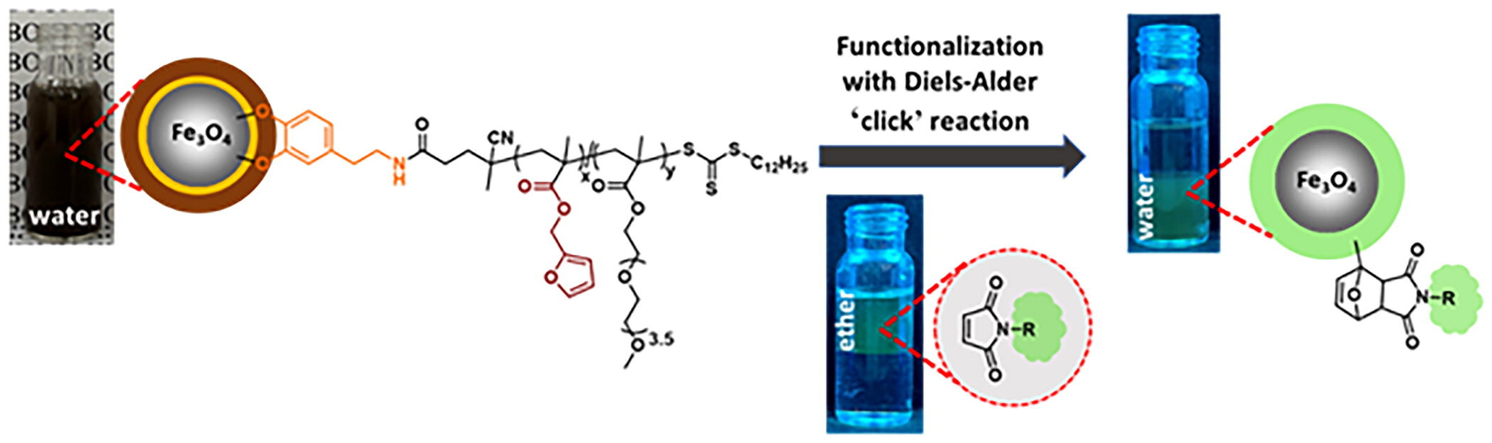 Furan-containing polymer-coated magnetic nanoparticles using the ‘graft-to' approach