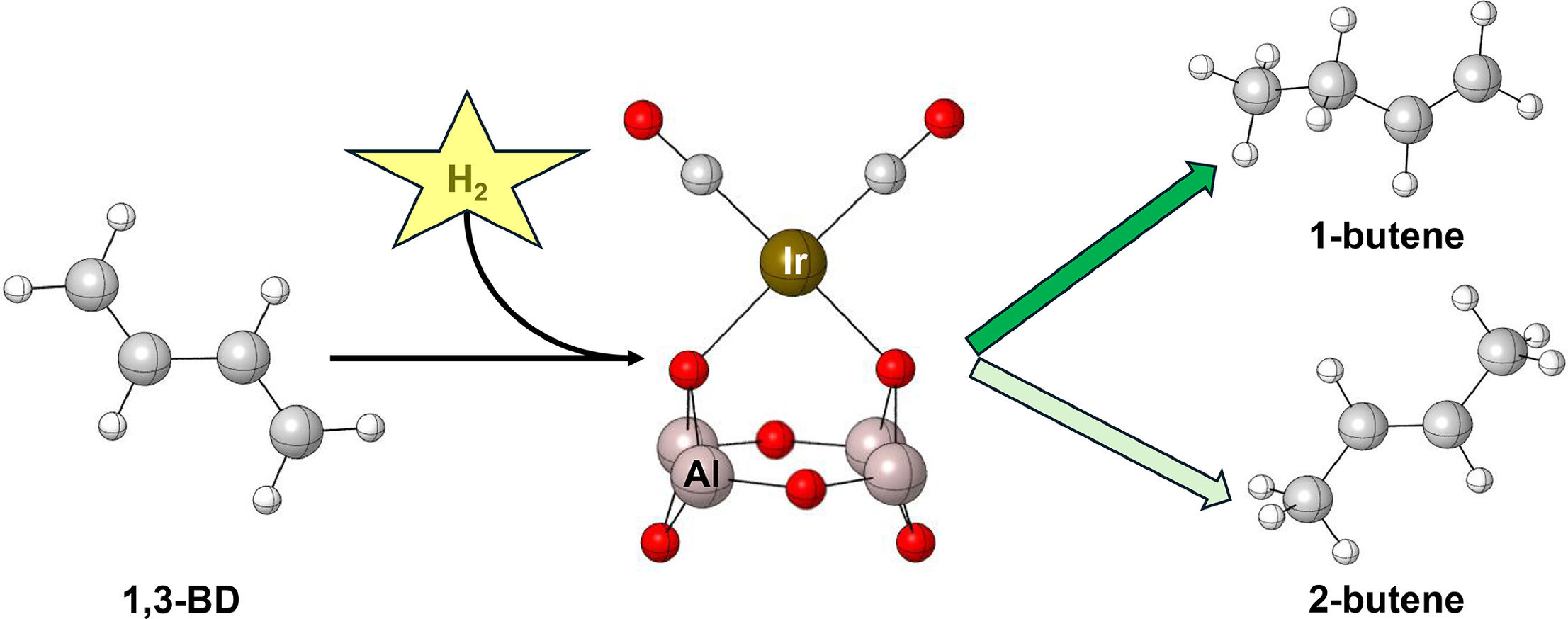 Theoretical insight into selectivity and catalytic activity of γ-(Al2O3) supported Ir(CO)2 complex for 1,3-butadiene partial hydrogenation
