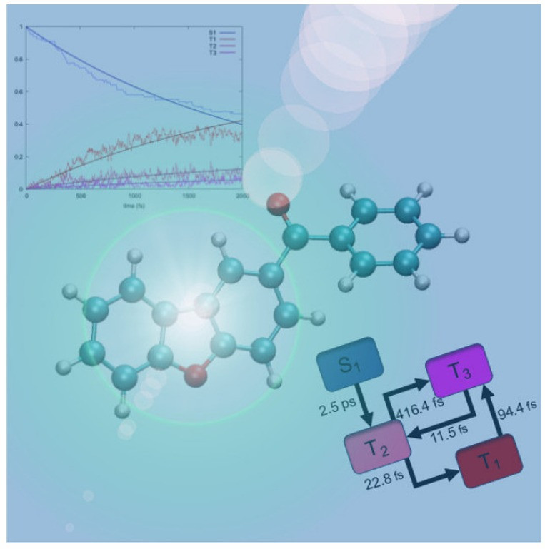 Intersystem crossing in a dibenzofuran-based room temperature phosphorescent luminophore investigated by non-adiabatic dynamics