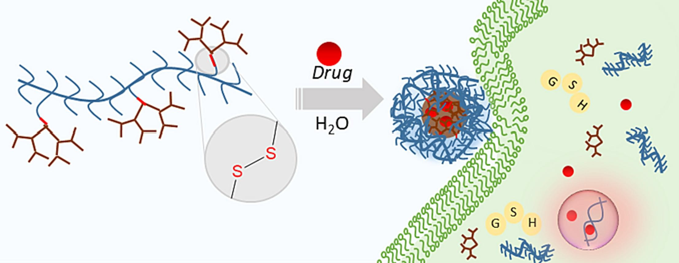 Redox-responsive biodegradable dendronized polymers: A side-chain modulation based fabrication of drug delivery vehicles