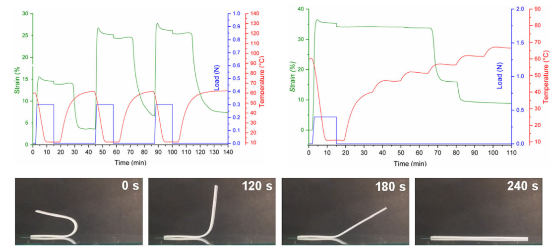 Preparation and characterization of thermo-responsive shape memory ester-based polymer blends