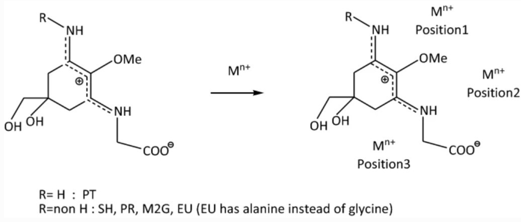 Potential metal chelating ability of mycosporine-like amino acids: a computational research