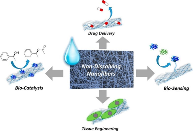 Hydrophilic Cross-Linked Polymeric Nanofibers Using Electrospinning: Imparting Aqueous Stability to Enable Biomedical Applications