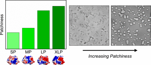 Effect of Protein Surface Charge Distribution on Protein–Polyelectrolyte Complexation