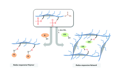Thiol-reactive thiosulfonate group containing copolymers: facile entry to disulfide-mediated polymer conjugation and redox-responsive functionalizable networks