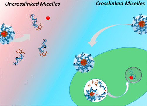 Dendron–Polymer Conjugate Based Cross-Linked Micelles: A Robust and Versatile Nanosystem for Targeted Delivery