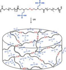 Redox-responsive phosphonate-functionalized poly(β-amino ester) gels and cryogels