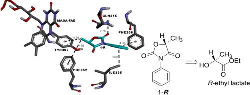 Asymmetric Synthesis, Molecular Modeling and Biological Evaluation of 5-methyl-3-aryloxazolidine-2,4-dione Enantiomers as Monoamine Oxidase (MAO) Inhibitors