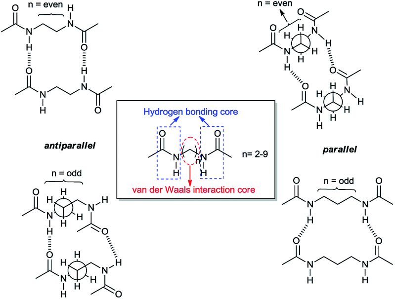 Influence of Odd–Even Effect and Intermolecular Interactions in 2D Molecular Layers of Bisamide Organogelators