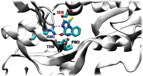 A DFT Approach to Discriminate the Antagonist and Partial Agonist Activity of Ligands Binding to the NMDA Receptor