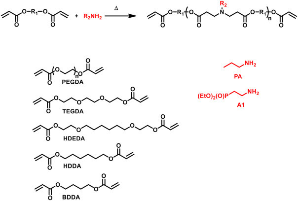 Phosphonate‐functionalized poly(β‐amino ester) macromers as potential biomaterials