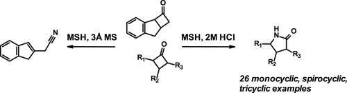 An Improved Procedure for the Beckmann Rearrangement of Cyclobutanones
