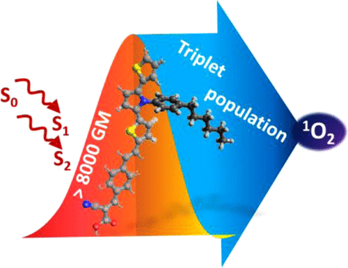 Photophysical Properties of Novel Two-Photon Absorbing Dyes: Assessing Their Possible Use for Singlet Oxygen Generation