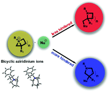 Theoretical Insight into the Regioselective Ring-Expansions of Bicyclic Aziridinium Ions