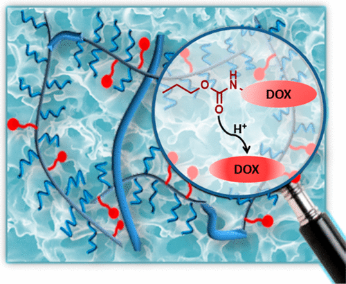 Hooked on Cryogels: A Carbamate Linker Based Depot for Slow Drug Release