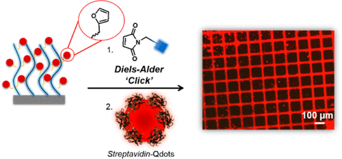 Diels-Alder "Clickable" Polymer Brushes: A Versatile Catalyst-Free Conjugation Platform