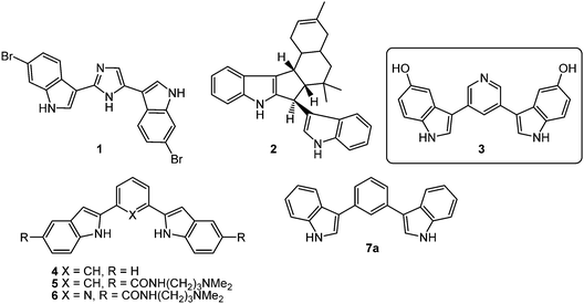 Bismuth Nitrate-Promoted Disproportionative Condensation of Indoles with Cyclohexanone: A New-Type Azafulvenium Reactivity of Indole