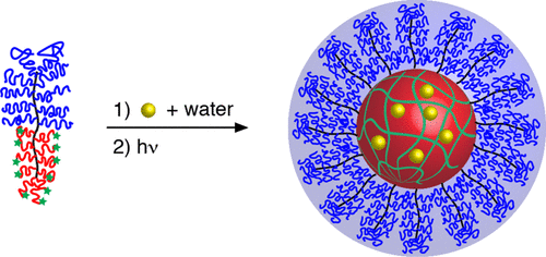 Interplay between Molecular Packing, Drug Loading, and Core Cross-Linking in Bottlebrush Copolymer Micelles