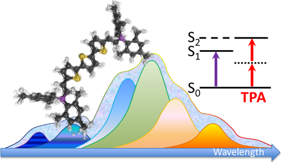 Assessing One- and Two-Photon Optical Properties of Boron Containing Arenes