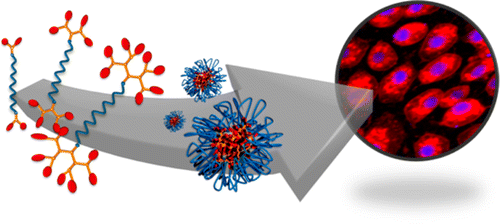 Combretastatin A-4 Conjugated Antiangiogenic Micellar Drug Delivery Systems Using Dendron-Polymer Conjugates
