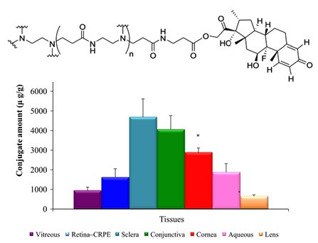 Dexamethasone-PAMAM Dendrimer Conjugates for Retinal Delivery: Preperation, Characterization and in Vivo Evaluation