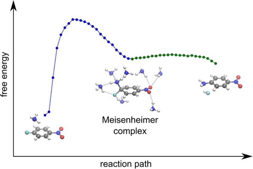 Influence of Solvation and Dynamics on the Mechanism and Kinetics of Nucleophilic Aromatic Substitution Reactions in Liquid Ammonia