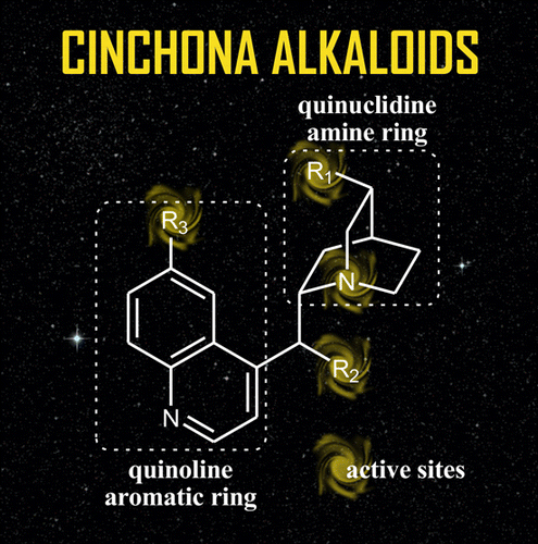 Computational Studies on Cinchona Alkaloid-Catalyzed Asymmetric Organic Reactions
