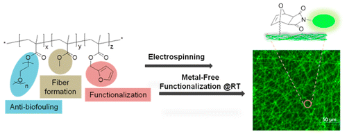 “Clickable” Polymeric Nanofibers through Hydrophilic–Hydrophobic Balance: Fabrication of Robust Biomolecular Immobilization Platforms