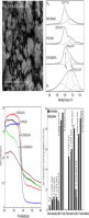 A novel photoresponsive ZnO-flyash nanocomposite for environmental and energy applications