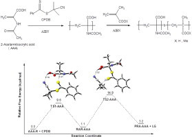 First RAFT polymerization of captodative 2-acetamidoacrylic acid (AAA) monomer: An experimental and theoretical study