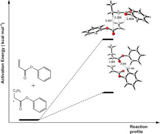 A computational study on the reactivity enhancement in the free radical polymerization of alkyl α-hydroxymethacrylate and acrylate derivatives