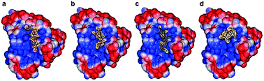 Protein–polyelectrolyte interactions