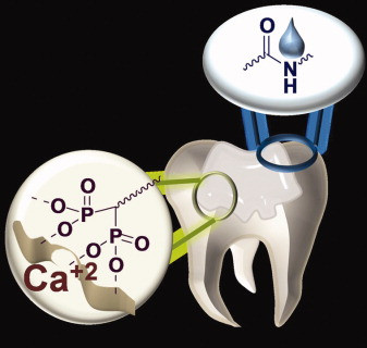 Synthesis and evaluations of bisphosphonate-containing monomers for dental materials