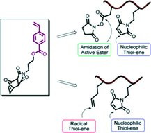 Design and Synthesis of Novel “Orthogonally” Functionalizable Maleimide-Based Styrenic Copolymers