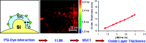 Investigation of Fluorescence Dynamics of BODIPY Embedded in Porous Silicon and Monitoring Formation of a SiO2 Layer via a Confocal FLIM-Based NSET Method