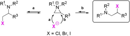 Systematic Study of Halide-Induced Ring Opening of 2-Substituted Aziridinium Salts and Theoretical Rationalization of the Reaction Pathways