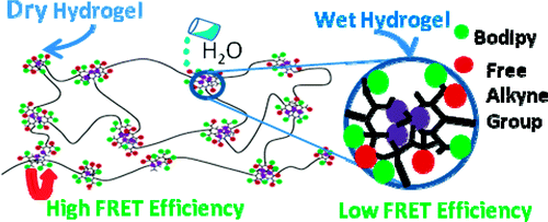 FRET between BODIPY Azide Dye Clusters within PEG-Based Hydrogel: A Handle to Measure Stimuli Responsiveness