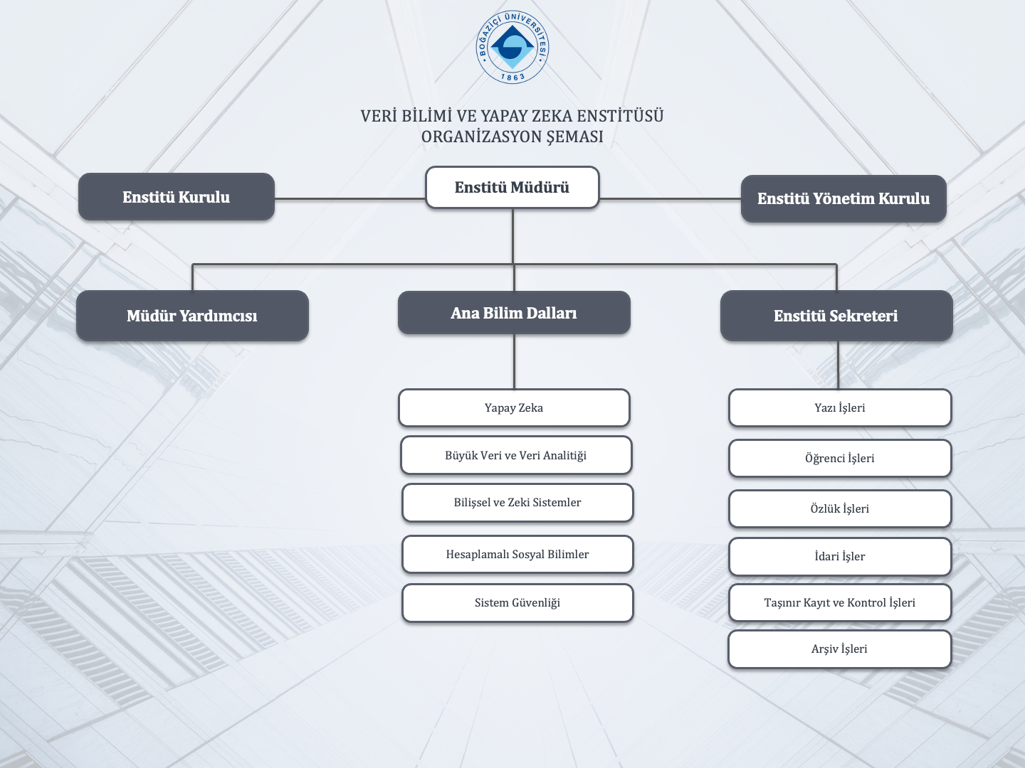 Organization Schema