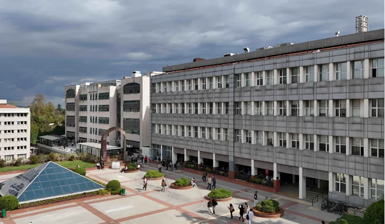 Project Office