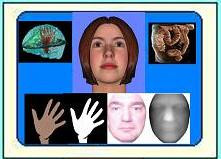 BUSIM: Boğaziçi Üniversitesi Sinyal ve İmge İşleme