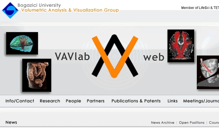 BUSIM / VAVlab: Volumetric Analysis & Visualization Group