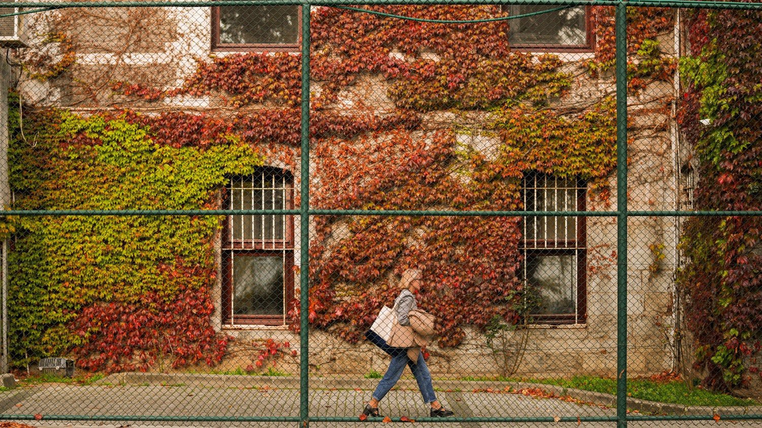 Academic Registration for the Semester