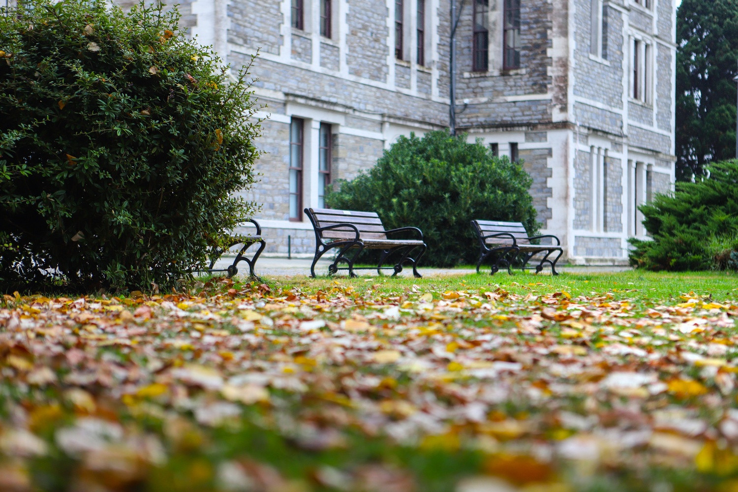 Psikolojik Hizmetler