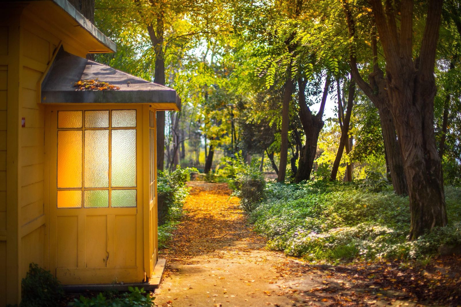 DIGITAL CAMPUS BRANCH DIRECTORATE